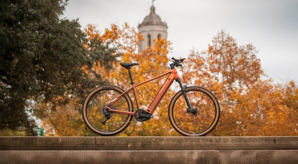 Bicicleta eléctrica